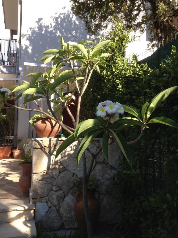 Bed and Breakfast Il Giardino Dei Limoni Aci Castello Exterior foto