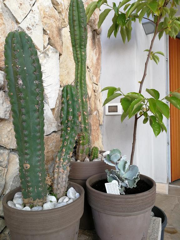 Bed and Breakfast Il Giardino Dei Limoni Aci Castello Exterior foto